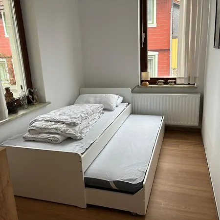 Daisy Sankt Andreasberg