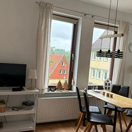 Daisy Sankt Andreasberg