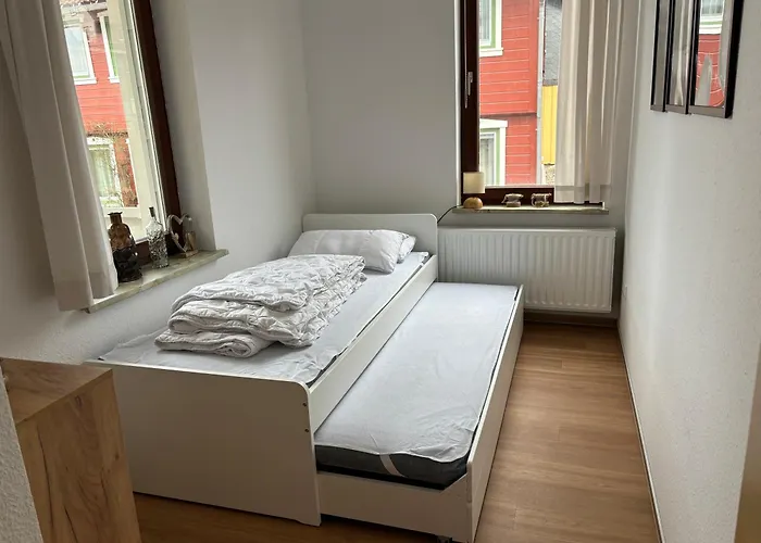 Daisy Sankt Andreasberg